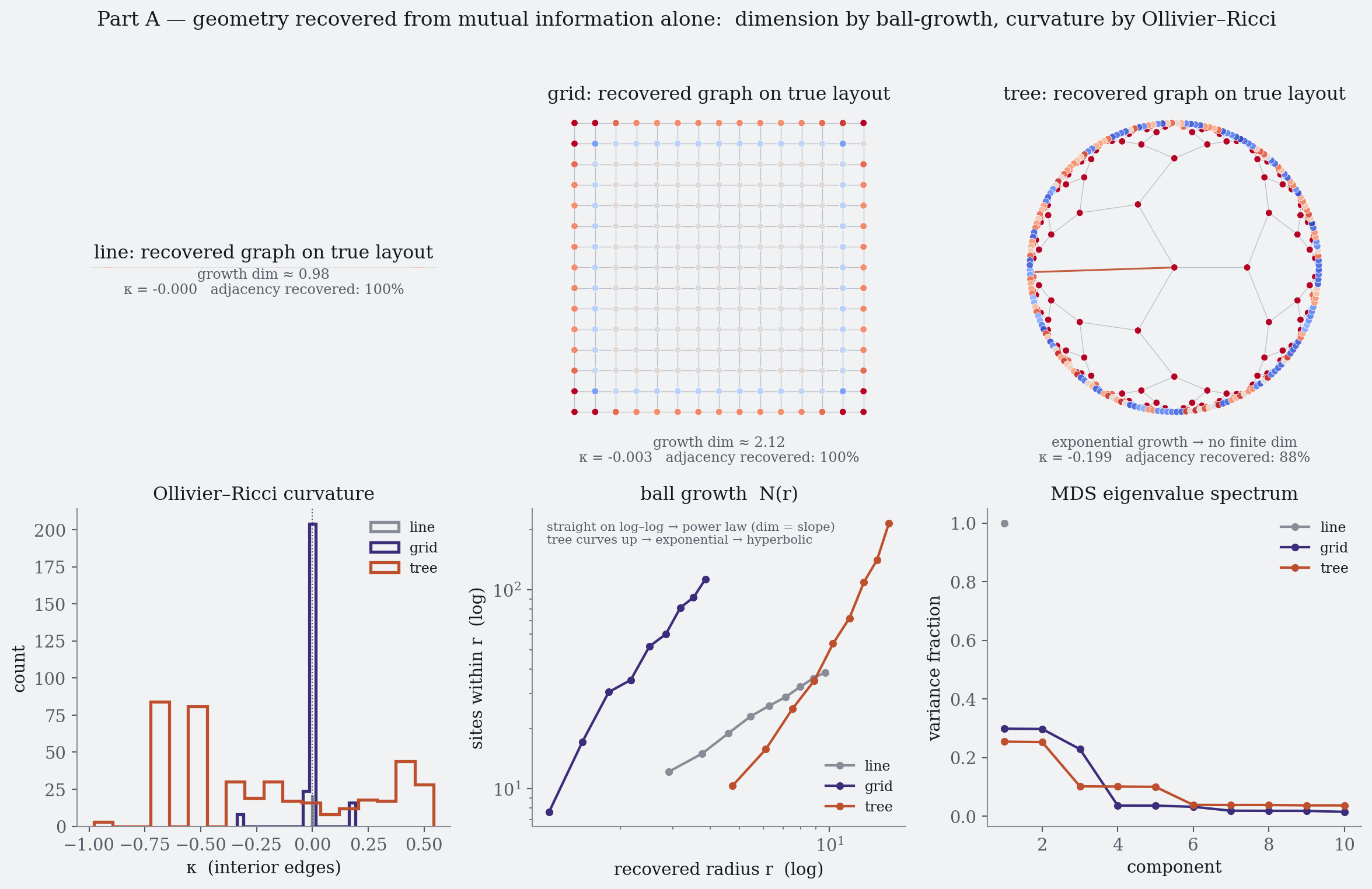 Top row: the recovered mutual-information graph drawn on each lattice's true coordinates, coloured by recovered curvature; the line and grid recover adjacency exactly and read near-zero curvature, the tree reads negative. Bottom row: curvature histograms (tree shifted negative), ball-growth curves (line slope one, grid slope two, tree curving upward into exponential growth), and the multidimensional-scaling eigenvalue spectra.